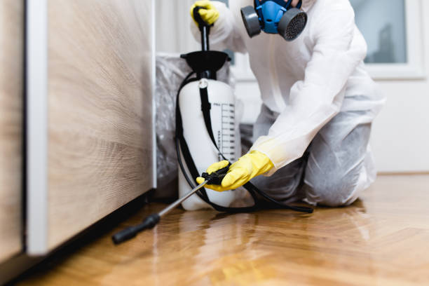 Best Exterminator Services  in Pingree Grove, IL