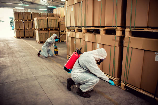 Best Insect Control  in Pingree Grove, IL