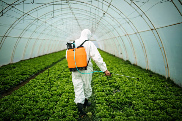 Best Pest Removal Services  in Pingree Grove, IL