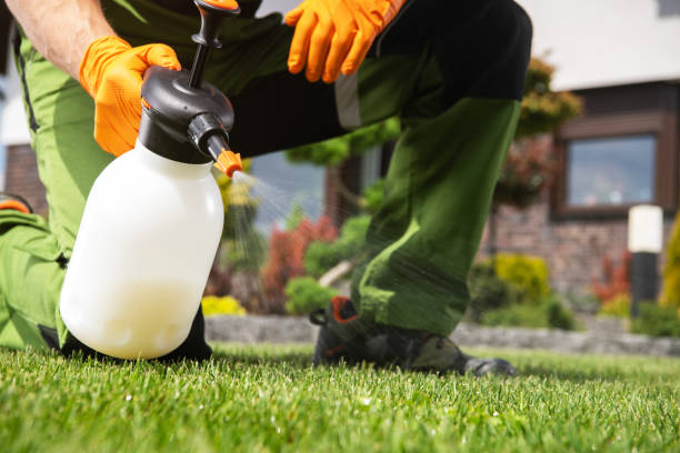 Best Pest Prevention Services  in Pingree Grove, IL