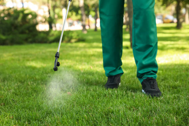 Best Emergency Pest Control  in Pingree Grove, IL