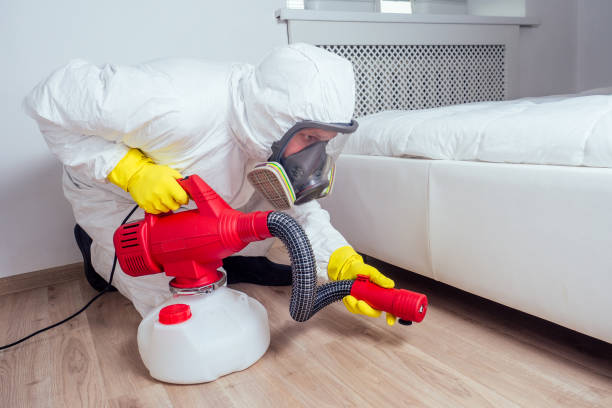 Best Pest Inspection Near Me  in Pingree Grove, IL