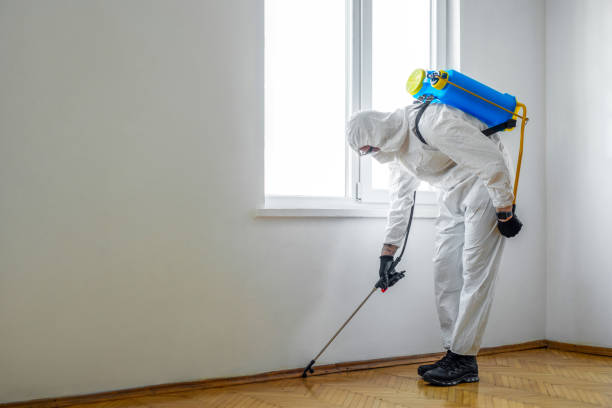 Best Pest Control Near Me  in Pingree Grove, IL